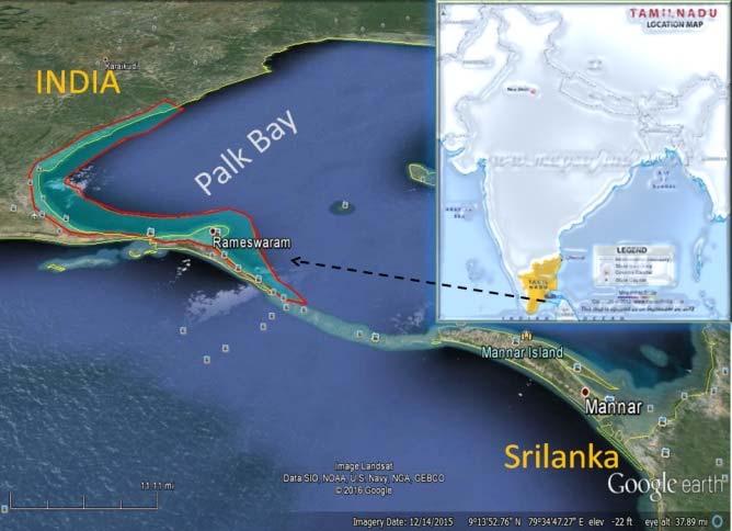 3.4 Tamil Nadu Coastline CMPA Project Site 1076 km Palk Bay (Ramanathapuram District) Palk Bay The project area in Palk Bay (Ramanathapuram District) covering a coastal length of some 130 km, is a