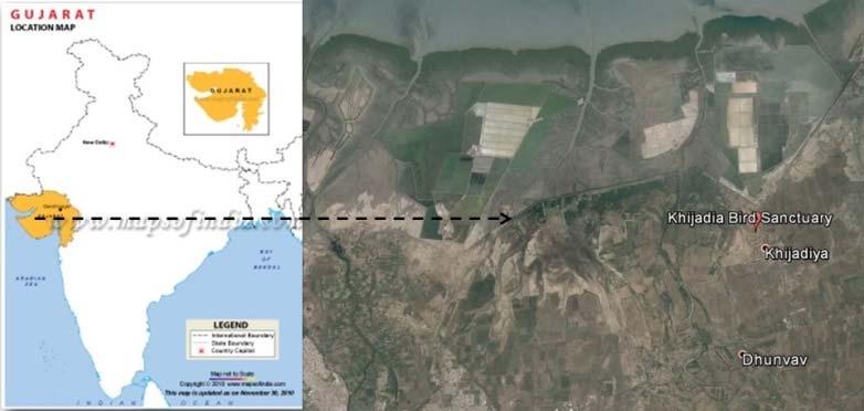 3.1 Gujarat Coastline 1600 km CMPA Project Site Khijadiya Bird Sanctuary. Gosabara Wetland Complex.