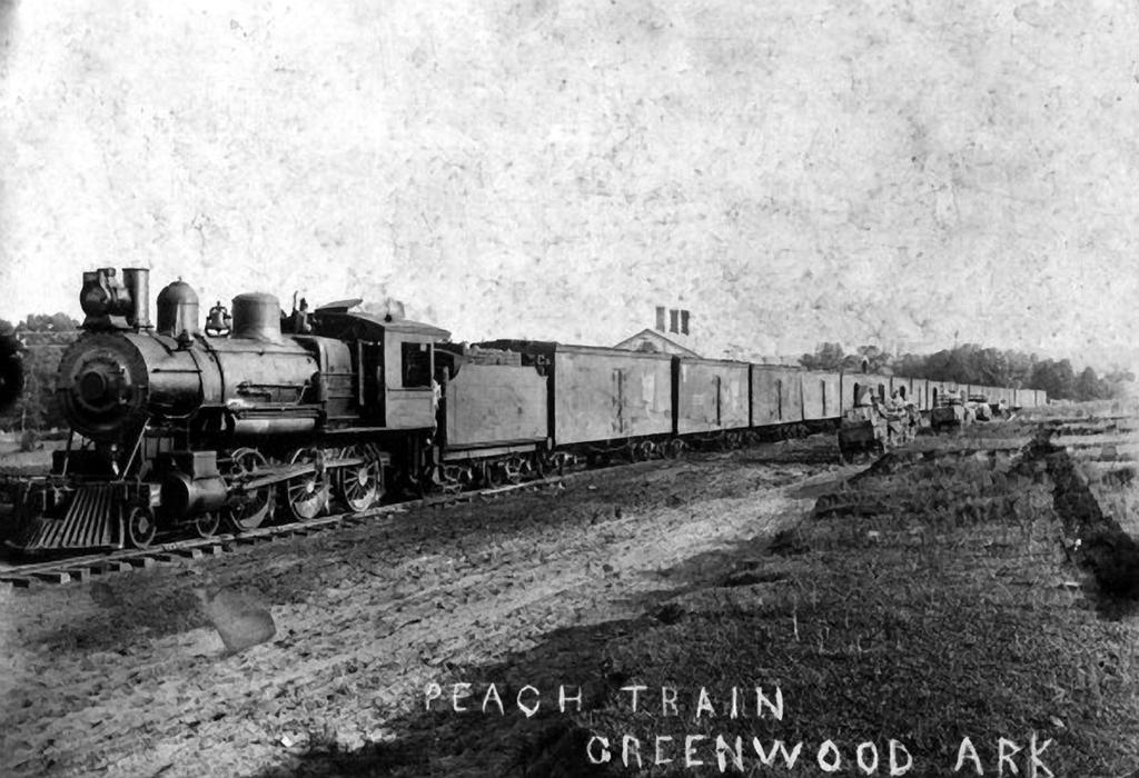 Not all of the freight business on the Greenwood Branch was coal. Here an early fruit train being loaded at the Greenwood depot.