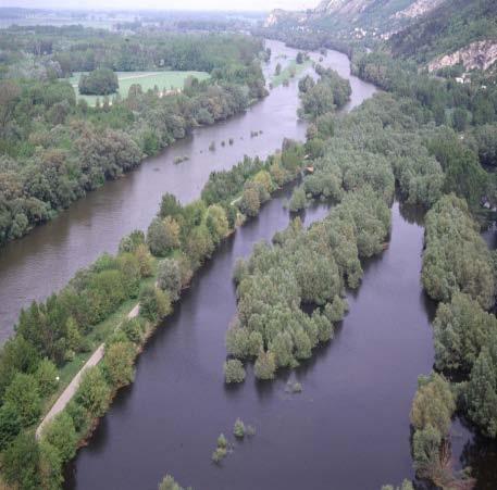 Morava Floodplains 5,380 ha Slovak section of the Morava River floodplain;