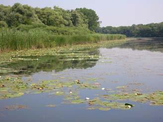 karst wetlands