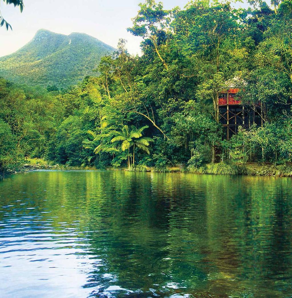 Silky Oaks Lodge Silky Oaks Lodge is located in a stunning riverside location adjoining the oldest living rainforests the World Heritage listed Daintree National Park.