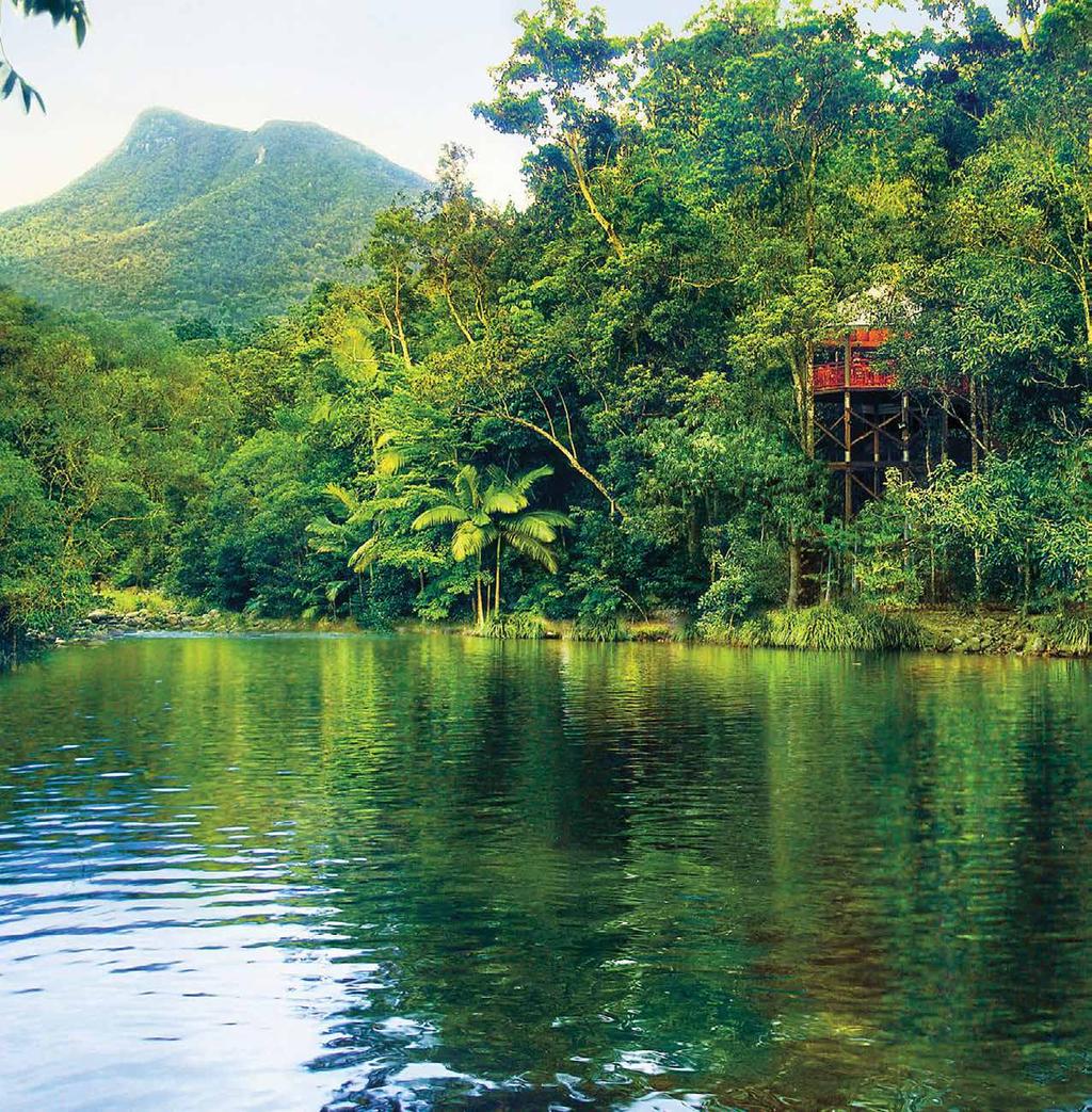 Silky Oaks Lodge Silky Oaks Lodge is located in a stunning riverside location adjoining the oldest living rainforests the World Heritage listed Daintree National Park.