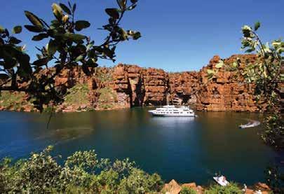 discover wilderness on the doorstep of Australia s largest city and, the Southern Safari, a safari at sea featuring the stunning South Australian coast including must-see Kangaroo Island.