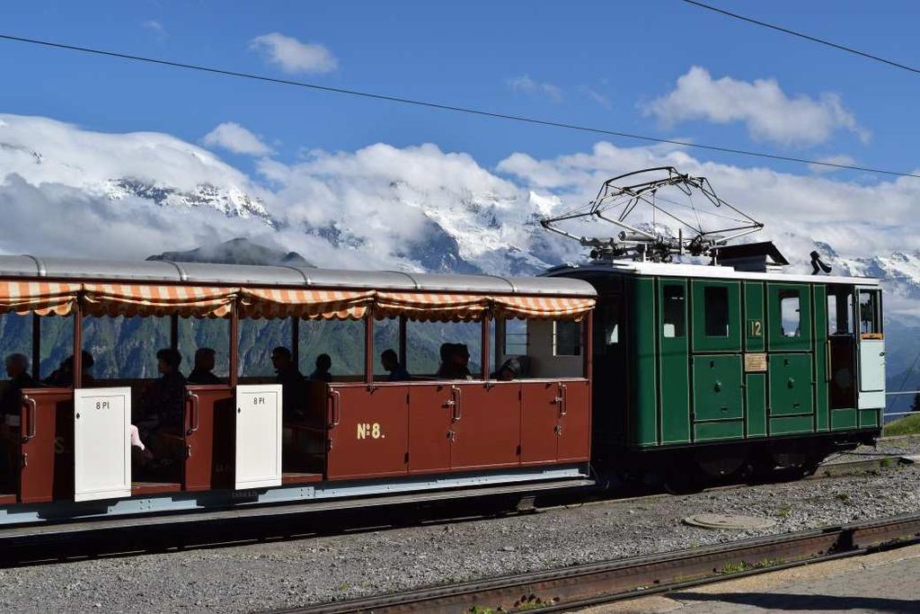 4 th July : SchynigePlatte From Wilderswil (near Interlaken), we take a cog railway to reach the Schynige Platte, at an