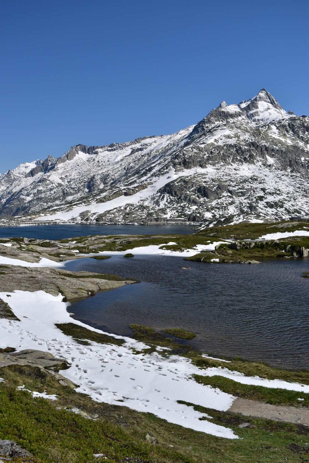Depending on the conditions, one or more halts are possible and this is the opportunity to do some alpine botany on siliceous substrate, in the