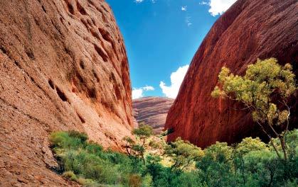 of Kata Tjuta Join your Driver Guide and Guide for the walk to the first lookout, Karu your Guide will point out interesting rare plants along