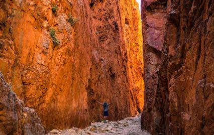 In this scenery-packed itinerary, visit iconic sights Angkerle (Standley Chasm), Ellery Creek Big Hole, Ormiston and Glen Helen Gorges and