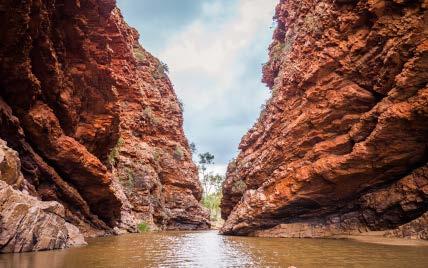 See some amazing geology at Ellery Creek Big Hole, where thousands of years of massive floods have carved out a beautiful waterhole in Ellery