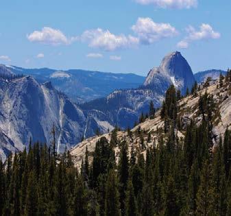 Two more day trips planned and then I plan to revisit my favorite Glacier Point on