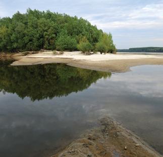 Voda Obnovljivi resursi vode po glavi stanovnika u Srbiji procenjuju se na.70 m 3 što je znatno niže od većine zemalja u regionu 4.
