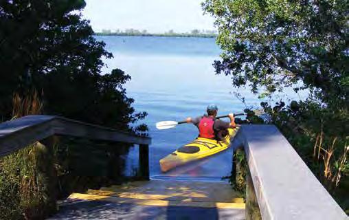 Paddling south along the mangrove coast you will have an easy paddle through mangrove islands that ofer wonderful bird viewing.