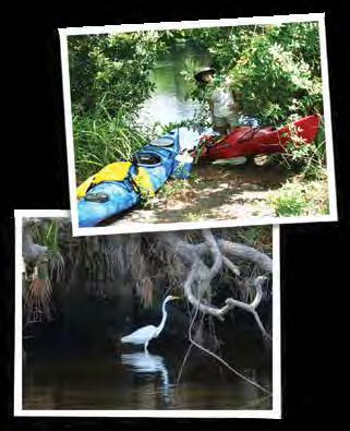 Traveling south of Price Boulevard on Myakkahatchee Creek is suitable for novice paddlers.