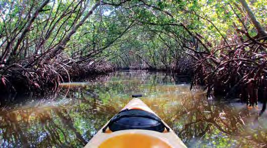 of Lido. Take a self-guided tour of this outstanding trail, considered one of the most diverse in Southwest Florida.