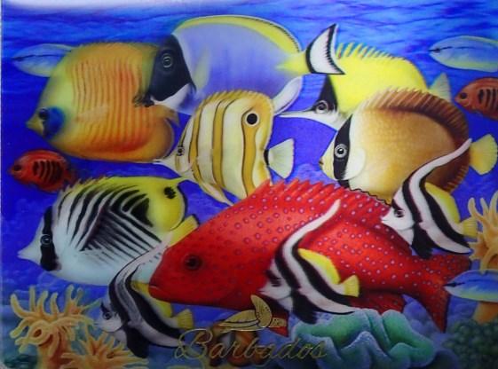 75 ) CORAL FISH 3D POSTCARD INV# 46992-3DP (6.25 X 4.75 ) WHOLESALE PRICE (MAGNET): $6.