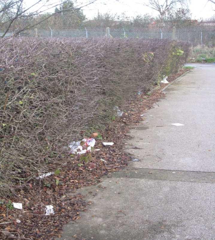 Litter Picking To ensure Cambridge City looks attractive and Wards are kept clean and tidy a