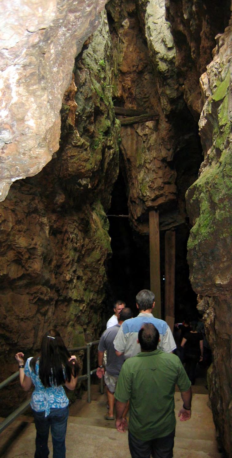 Travel from the lovely Magaliesberg Mountains to early human sites in the Cradle of Humankind, such as Sterkfontein Caves, and as far afield as the Makapansgat Valley and West Coast Fossil Park.
