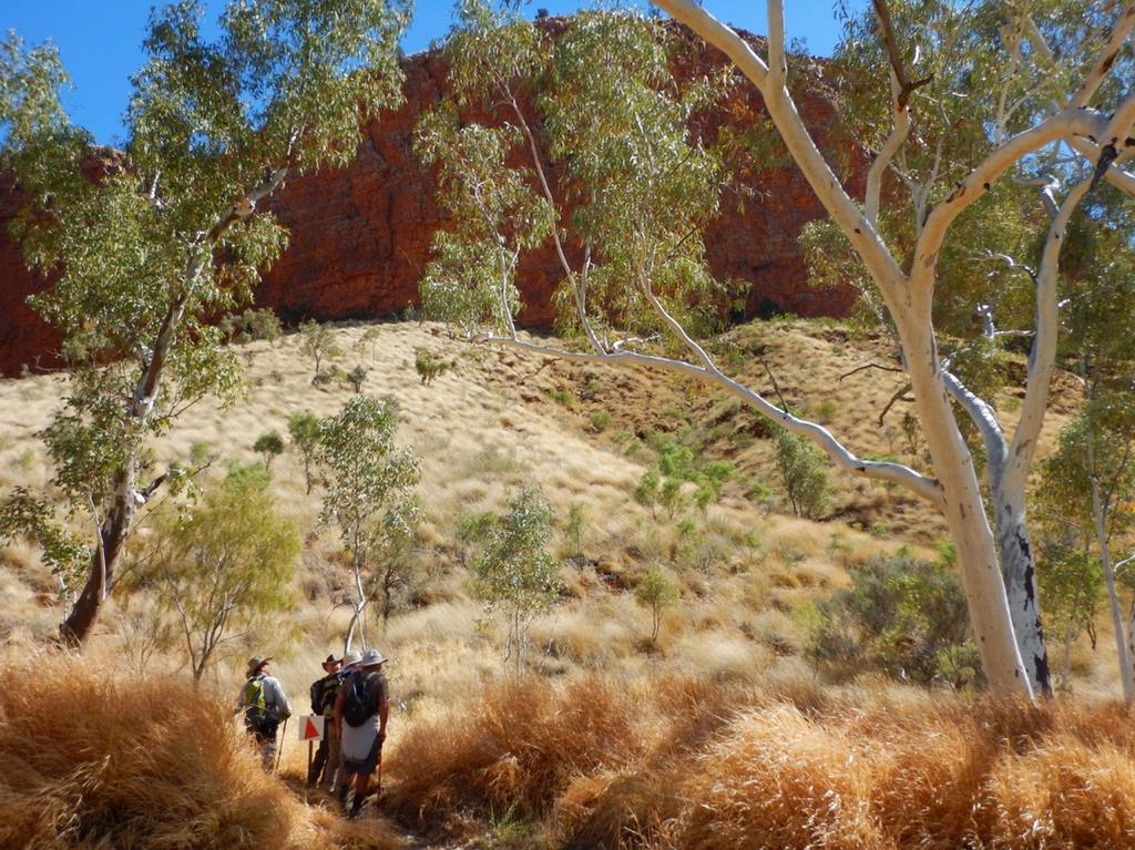 Itinerary A guide will accompany you each day as you discover the highlights of the Larapinta Trail, explore the remote Kings Canyon and take in Uluru and Kata Tjuta from below.