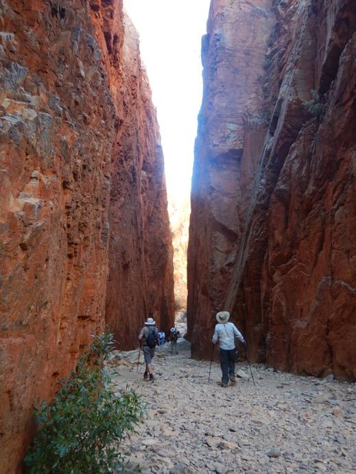 around us. From Wallaby Gap we will head back to Alice Springs for another night. Day 3 Reveal Saddle and Standley Chasm Walk: 12km + 2km Today we pack up and leave Alice Springs.