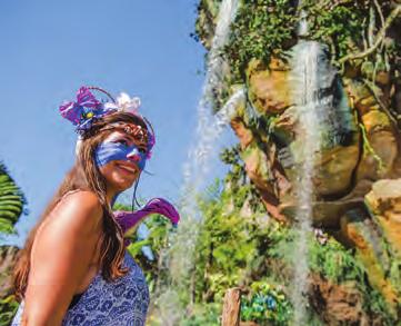 Big Thunder Mountain Railroad, Buzz Lightyear s Space Ranger Spin, Dumbo the Flying Elephant, Enchanted Tales with Belle, Jungle Cruise, Mickey s PhilharMagic, Peter Pan s Flight, Pirates of the
