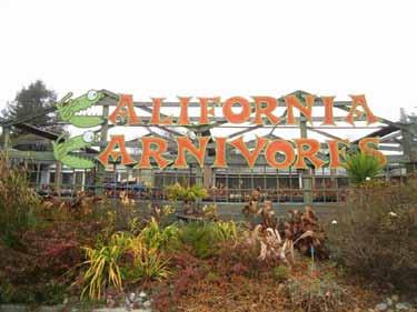 Jeanine and Andy picked a great destination for the tour. California Carnivores is located in Sebastopol. If you haven t visited, you are in for a treat.