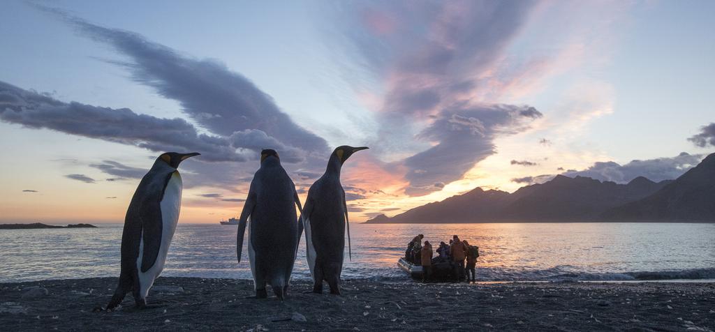 SOUTH GEORGIA: 2019/20 TRIP NOTES South Georgia 'In Depth' (Featuring onboard Photography Symposium) 26 OCT 2019 09 NOV 2019 14 NIGHTS / 15 DAYS STARTS PUNTA ARENAS SOUTH GEORGIA EXPERIENCE THE MOST