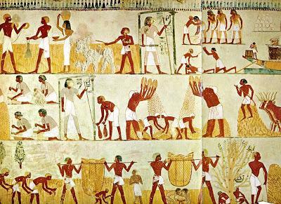 Slika 13. Reljef s prikazom žetve u egipatskoj grobnici iii. Kanope Kanope su 4 posude u koje su se stavljali glavni unutrašnji organi preminule osobe (vidi Slika 14.).