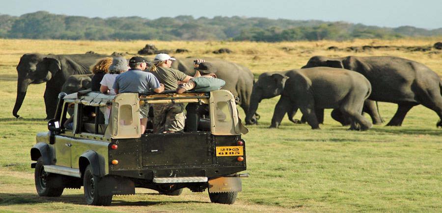 Adventure Tourism Number of Foreign Tourists who have visited Wild Life Parks in 2014 Yala- 173,449 Udawalawa- 58,041 Bundala- 9,210 Lunugamvehera- 3,855 Horton