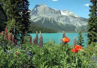 EMERALD LAKE, YOHO NATIONAL PARK Trip Information DATES: June 22 to 29, 2019 (8 days) SIZE 36 participants (single accommodations limited please call for availability) COST* $10,995 per person,