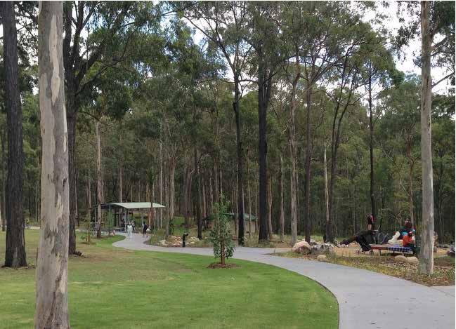 This path will meander through native trees, and provide an opportunity for visitors, including those with reduced mobility, to experience the cultural and natural surroundings of Beerburrum.