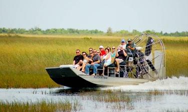 The students will then spend a day in the unique Everglades National Park. Students will engage in a guided tour of the ecosystem and learn about the flora and fauna of the area.
