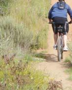 It has historically been the only area of the park Mountain bikers enjoying a trail within the