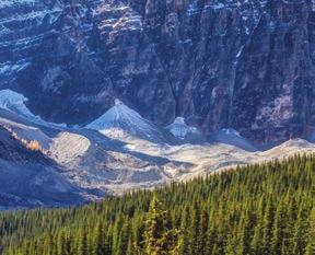 Parkway Discover Peyto Lake and the