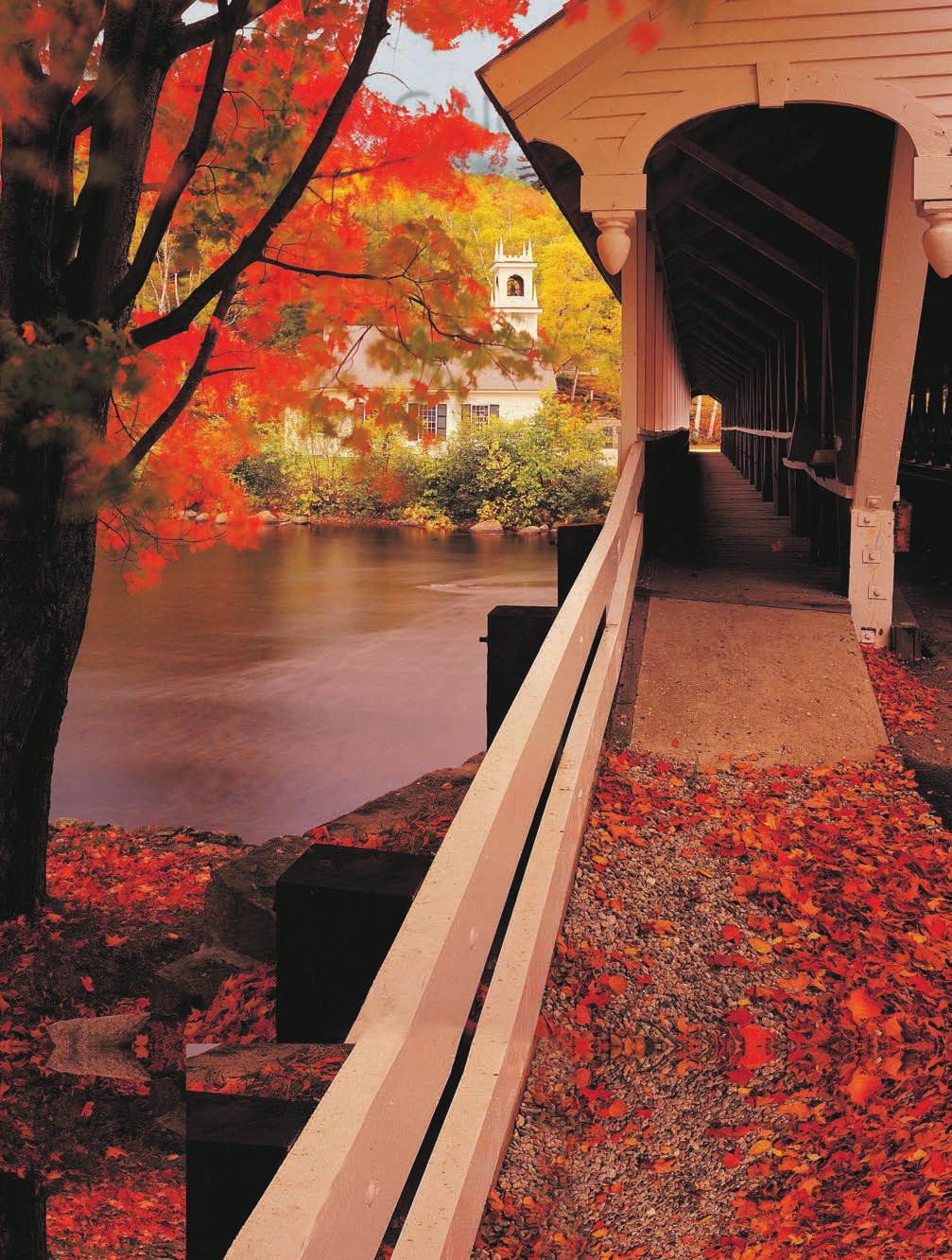 0 $60 per day days Fall Colors of New England Memorable Highlights Boston Set out