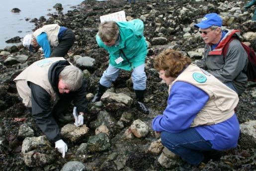 The Beach Naturalist program is designed to educate volunteers about Deception Pass State Park s Rosario Beach Tide Pools. There are four class sessions and one field trip.