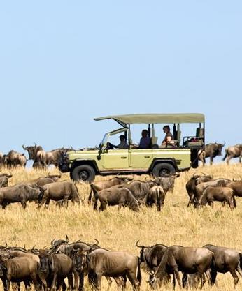 Day 10 Tarangire to Serengeti National Park Millions of wild animals on the vast Serengeti plains!