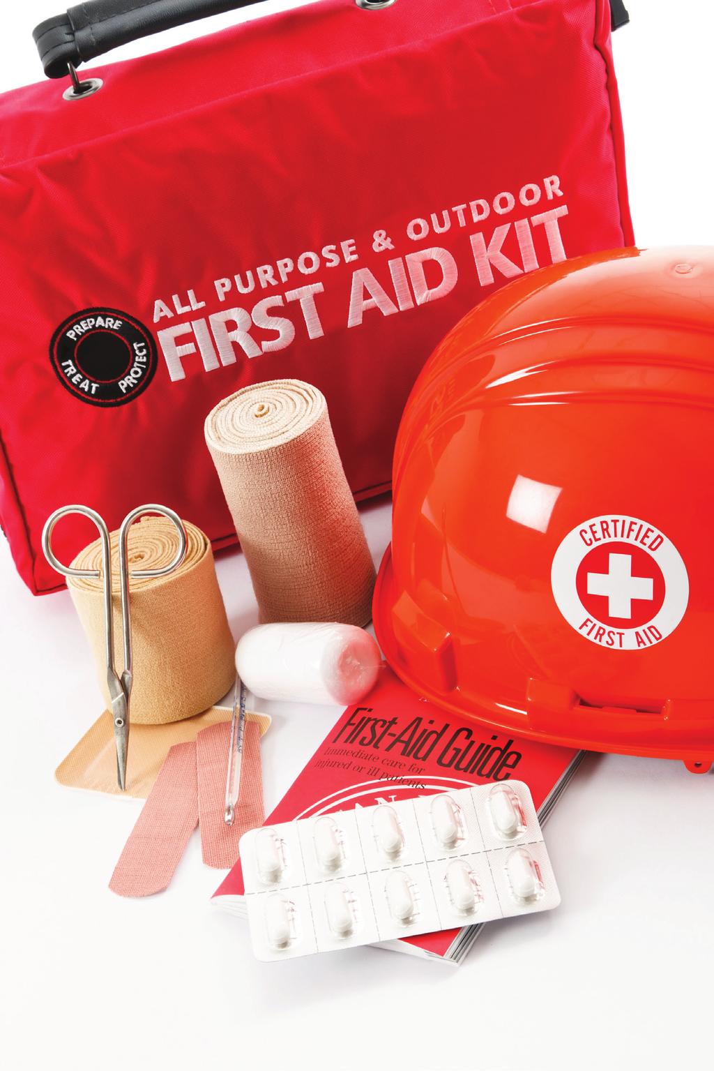 STUDENT ACTIVITY Creating a First Aid Kit Every household should have a First Aid Kit handy in the event of an emergency. For this week s activity, ask to see your family s First Aid Kit.