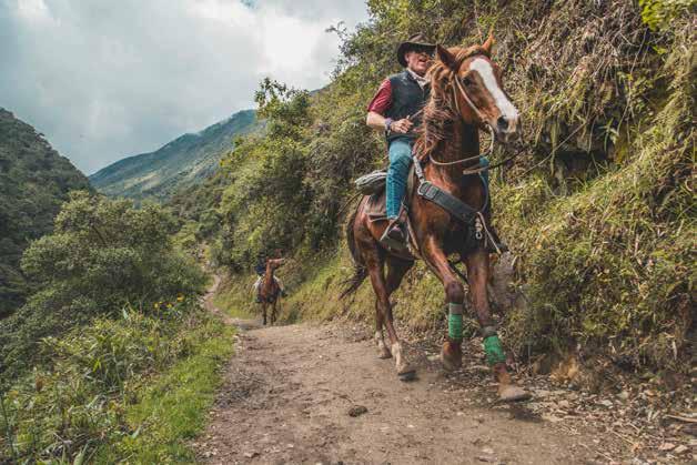 THE SALKANTAY RIDE TO MACHU PICCHU DAY 01 DAY 02 DAY 03 DAY 04 DAY 05 DAY 06 DAY 07 DESCENDING INTO THE CLOUD FOREST On this day we enjoy