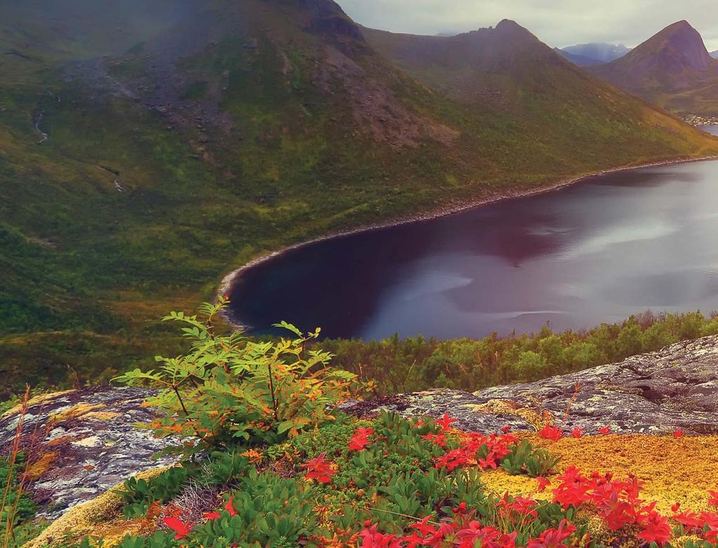 SEPTEMBER OCTOBER Experience coastal Norway at its most naturally colorful, when mountainsides, hilltops,