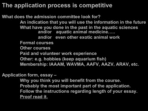 APPLICATION PROCESS The application process is competitive What does the admission committee look for?