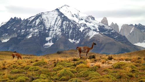 Overnight: Cabo de Hornos Hotel (D) Sunday, December 14 Drive to Torres del Paine National Park and take in the first spectacular views of the