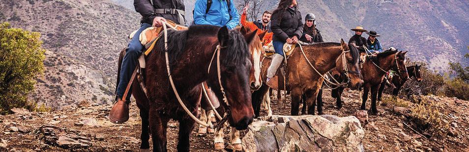 Programa PATAGONIA - CABALGATAS THE FJORD TRAIL 3 DAYS - 2 NIGHTS / LODGING IN CAMPING + HOTEL. This horseback ride is an excellent option to leave the park, after you do one of the treks.