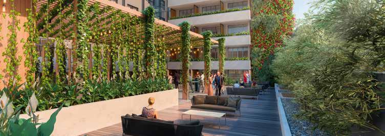 CAPACITY: 150 Cocktail *Artist s impression GARDEN COURTYARD This beautiful architectually designed rooftop space is