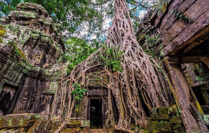 Continue to the fortified royal city and former Khmer capital of Angkor Thom which has five monumental decorated gates, with the Bayon located in the middle.