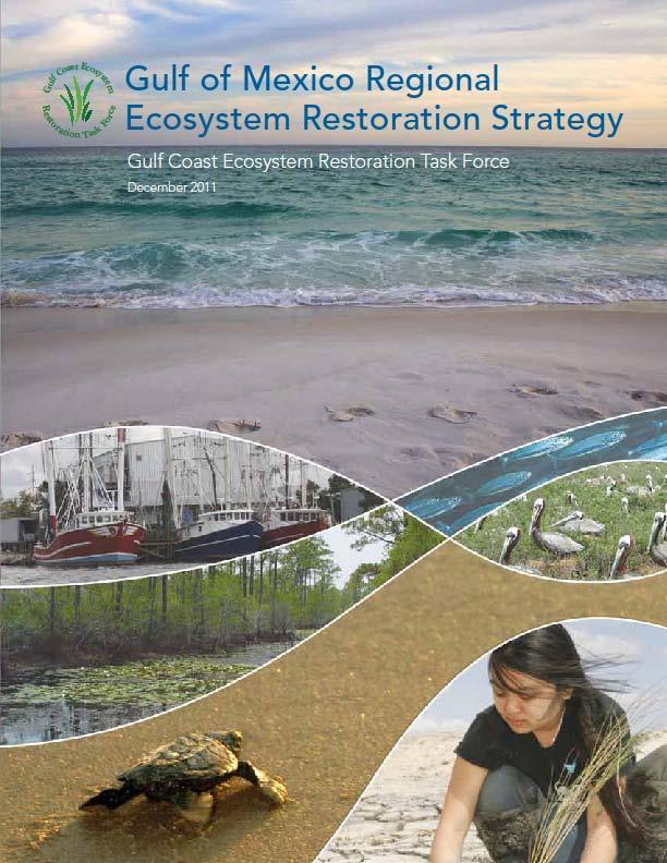 Coastal Texas Ecosystem Protection & Restoration Study Status o Texas General Land Office expressed support as potential sponsor in 2011 o Study included as major recommended