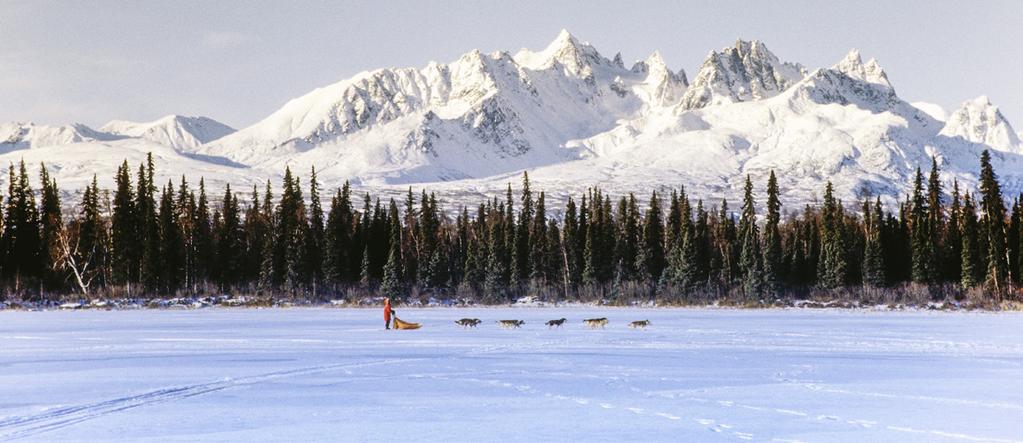 OPTIONAL EXCURSIONS Talkeetna and Fairbanks TALKEETNA Talkeetna Dog Sledding Experience Alaska s state sport on a five-mile guided dog sled tour through the groomed trails of Talkeetna s snowy boreal