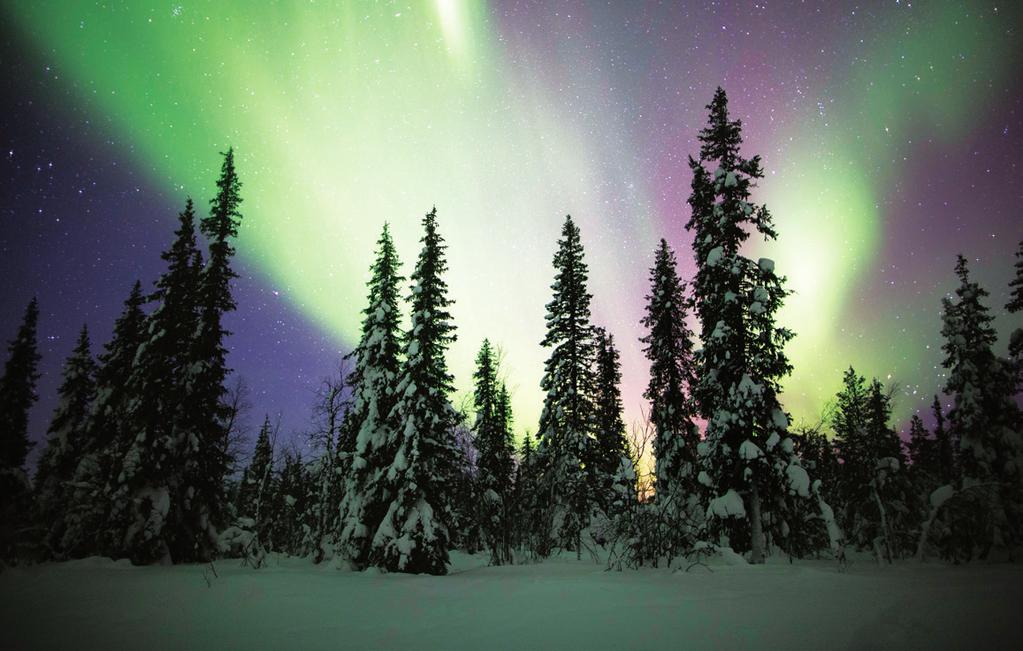 THE AURORA 7 nights Only available for departures on December 24, 2018, February 4 & 25, 2019 and March 4, 11, 18 & 25 2019 Monday through Sunday MONDAY Arrive in Anchorage, Alaska s largest city.