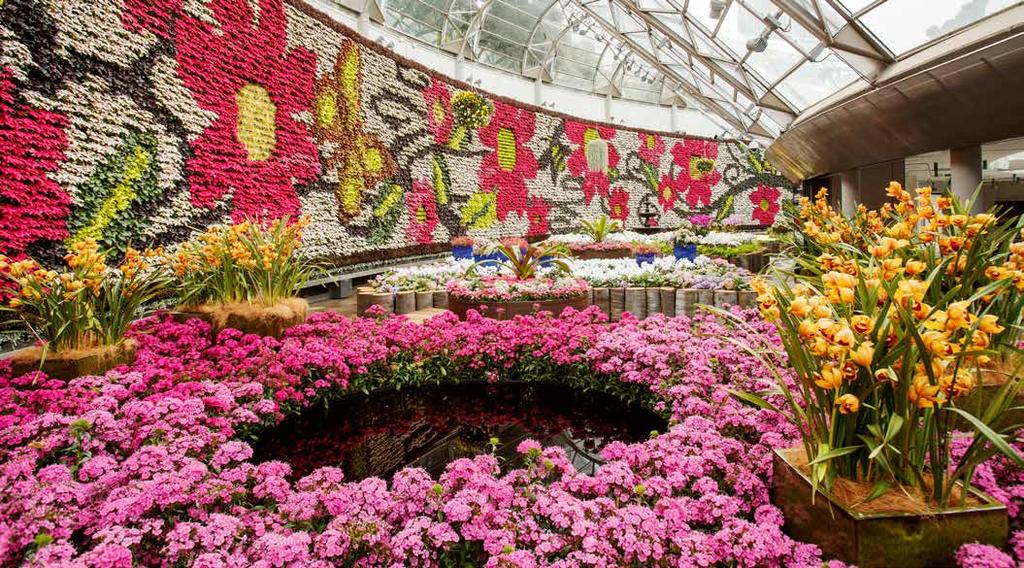THE CALYX A living art gallery showcasing spectacular horticultural displays.