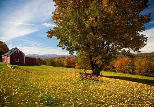 VERMONT VERMONT Oct 15-18, 2015 with DAI Chief Curator Aimee Marcereau DeGalan ************ Join DAI Chief Curator Aimee Marcereau DeGalan, and ArtTrek Trip Coordinator, Debra Edwards for an