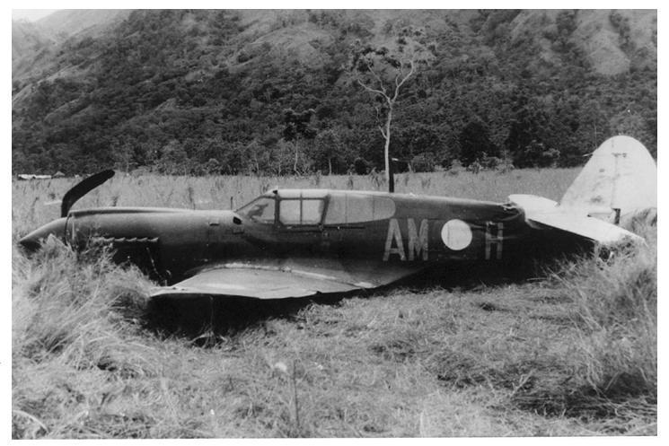 It would be fair comment to say in hindsight, that the airmanship of RAAF Pilot P/O Jack Edmond Delarue, helped avert the collision of both aircraft.